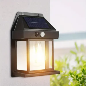 Solar Motion Wall Bulb
